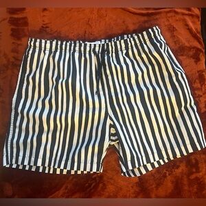 Wesc Navy and White Striped Shorts